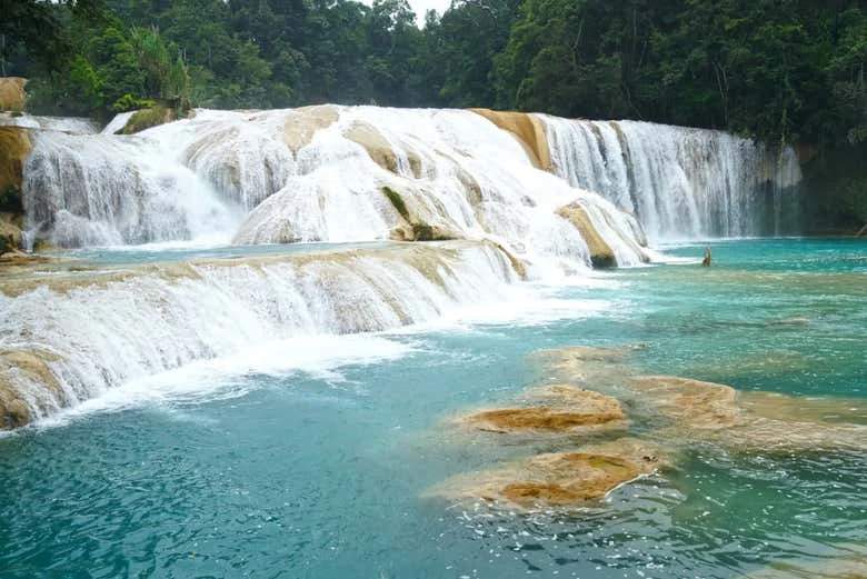 Agua Azul, Misol-Há & Palenque — photo 3