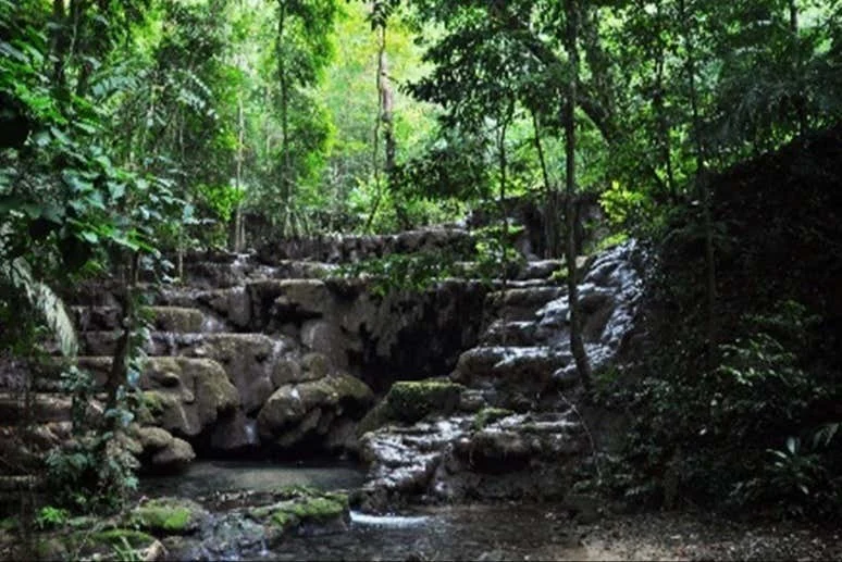 Palenque guided archaeological tour — photo 3