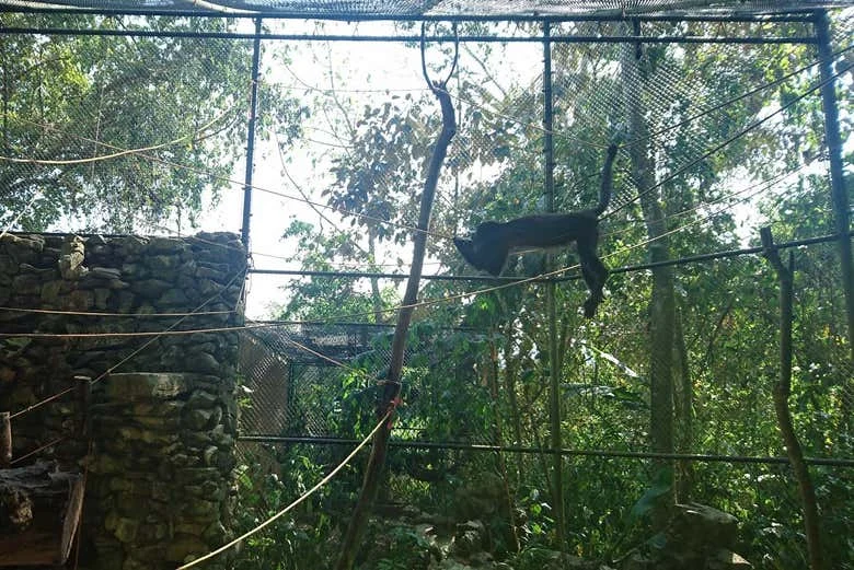 Aluxes Ecopark — photo 3