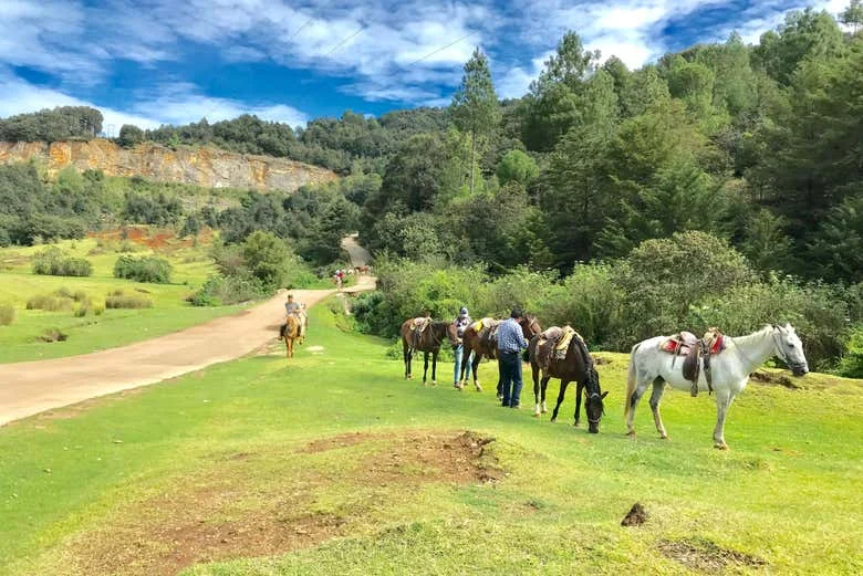Horseback riding in the highlands