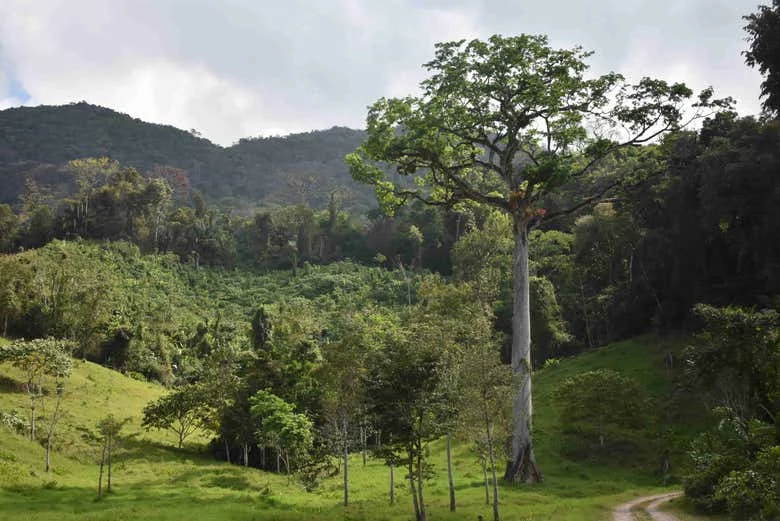Lacandon Jungle trek — photo 2